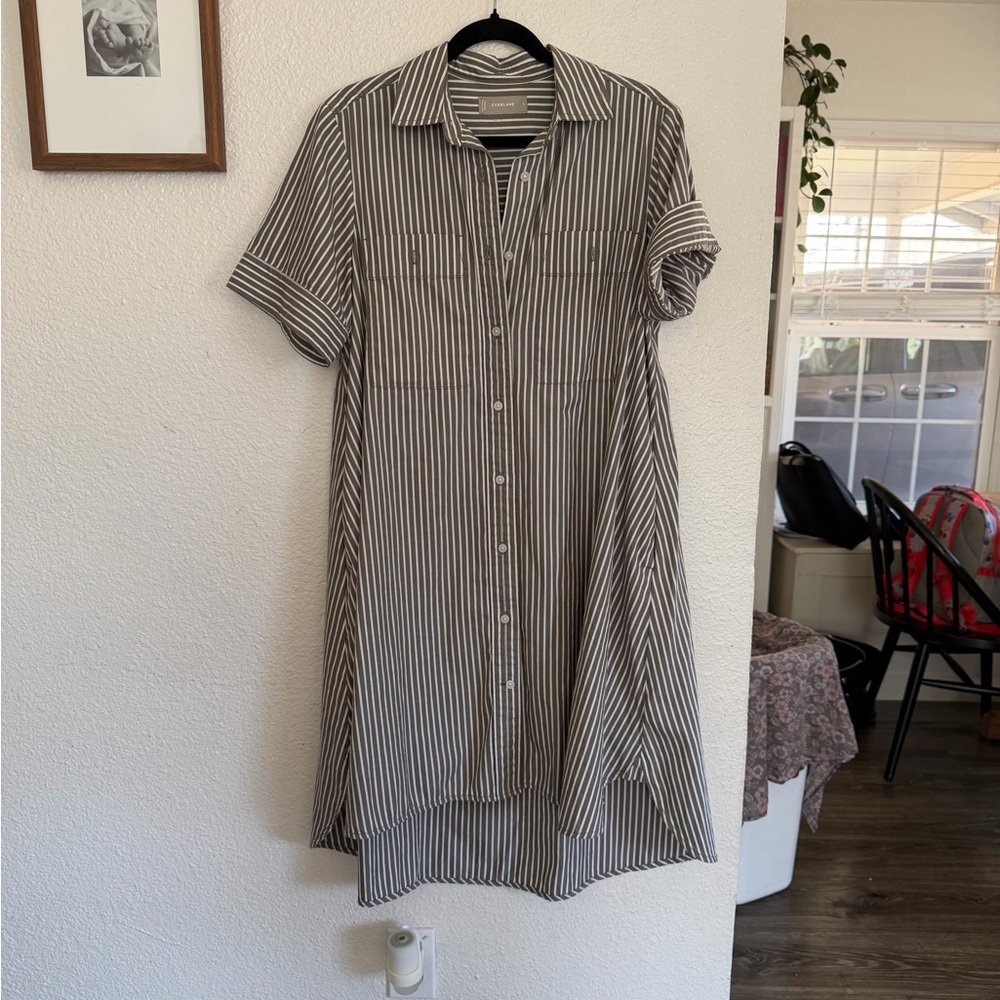 Everlane Olive and White Striped High Low Dress